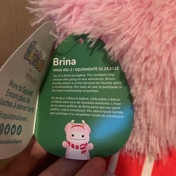 Brina Bigfoot hugmee Squishmallow Christmas 10” BNWT - Picture 4 of 4